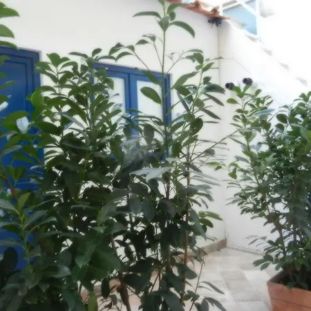 My Sorrento